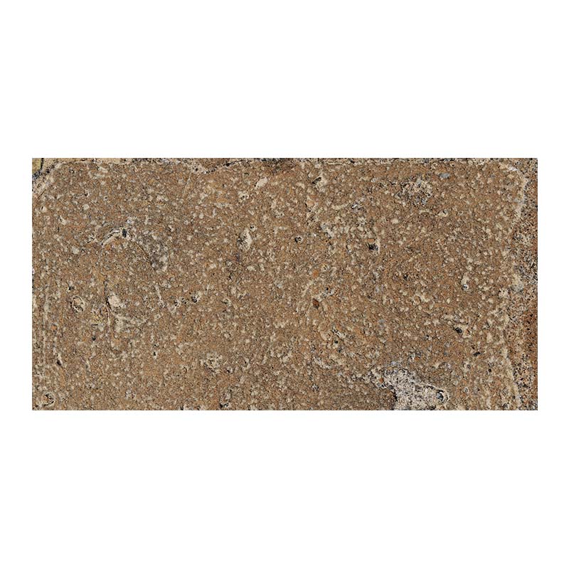 Cotto Bodenfliese Pomposa Ambra R11 20 x 40 cm