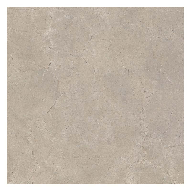 Kalkstein Optik Fliese Calcis Corda 80 x 80 cm