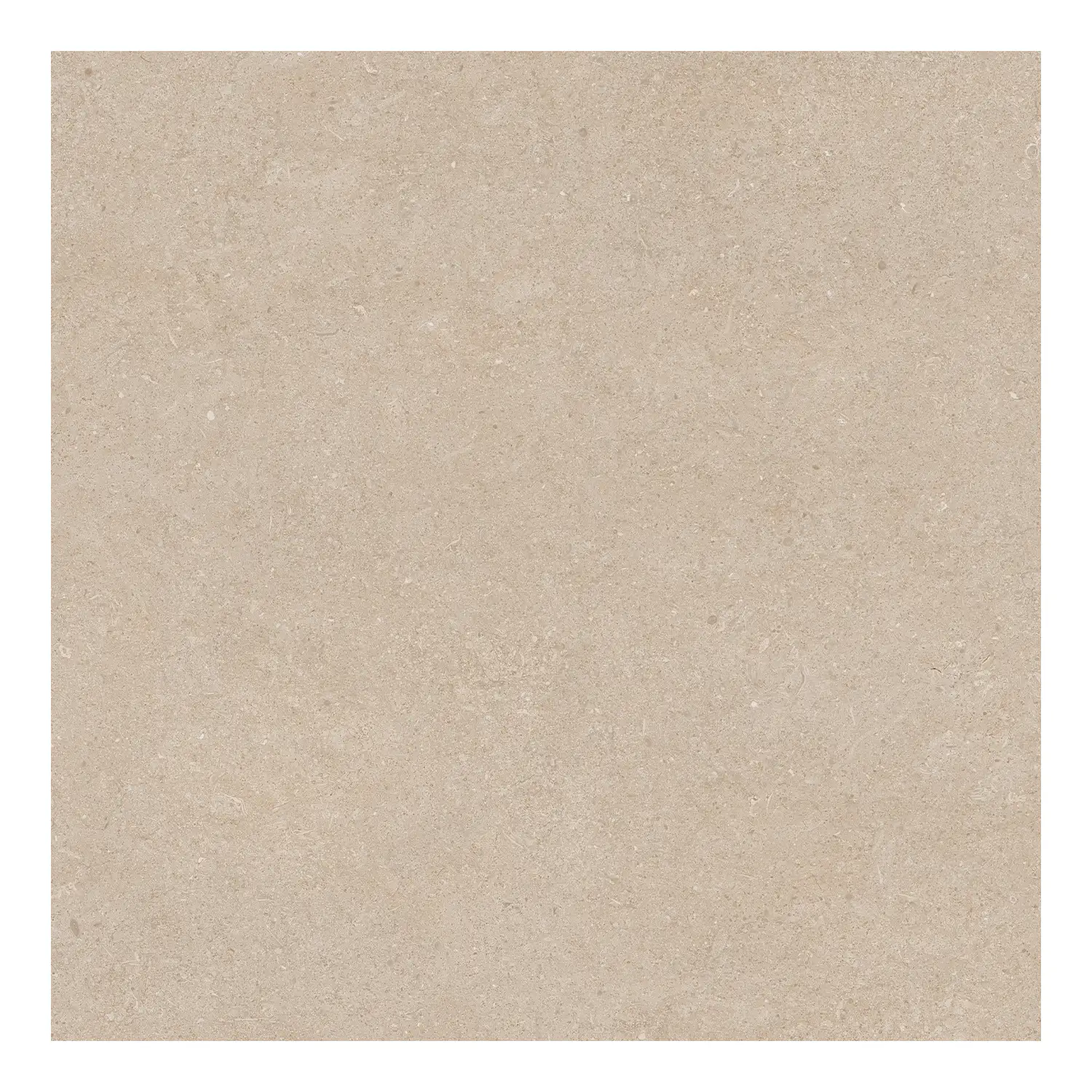 Steinoptik Fliese Sedimenti Sand Selected 60 x 60 cm