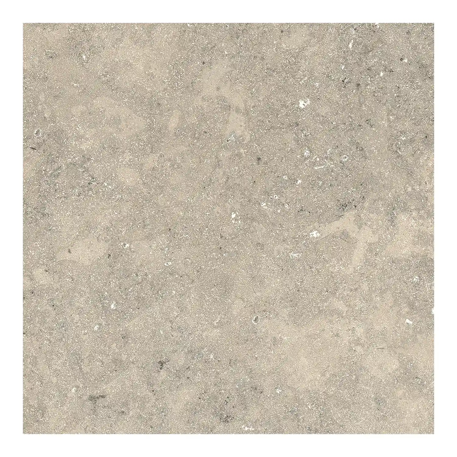 Steinoptik Fliese Jurassic Bavaria Grigio 3D 60 x 60 cm