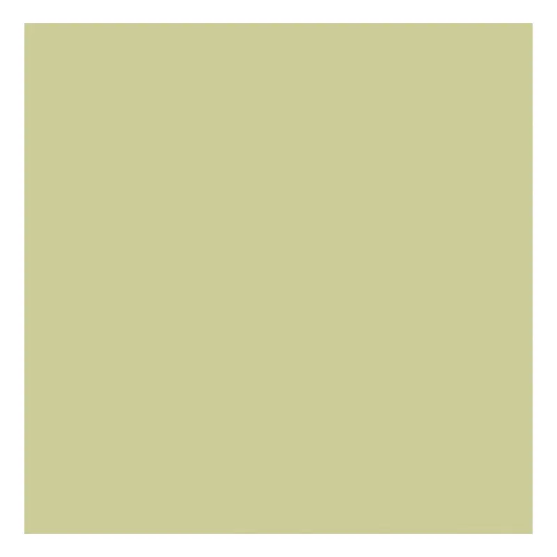 Revigres Cromatica Pistachio 59,2 x 59,2 cm Soft Bodenfliese