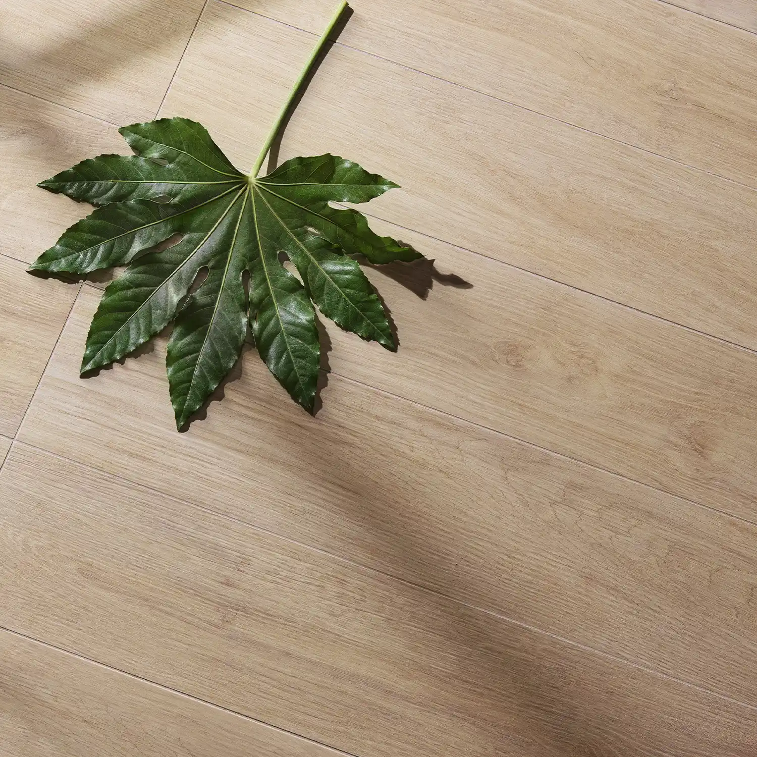 Holzoptik Bodenfliese Legni Olmo Gentile 20 x 120 cm