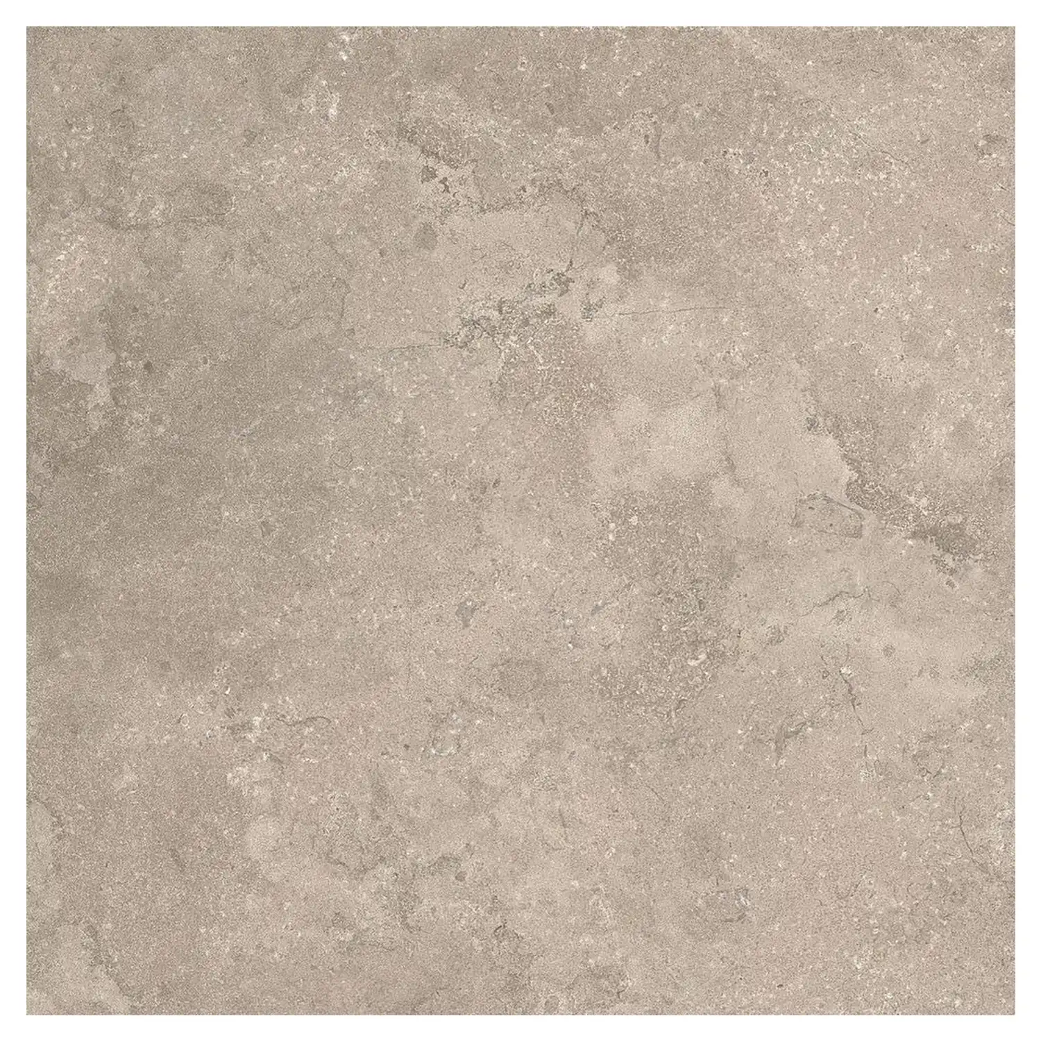 Steinoptik Fliese Portland Rock Taupe 100 x 100 cm