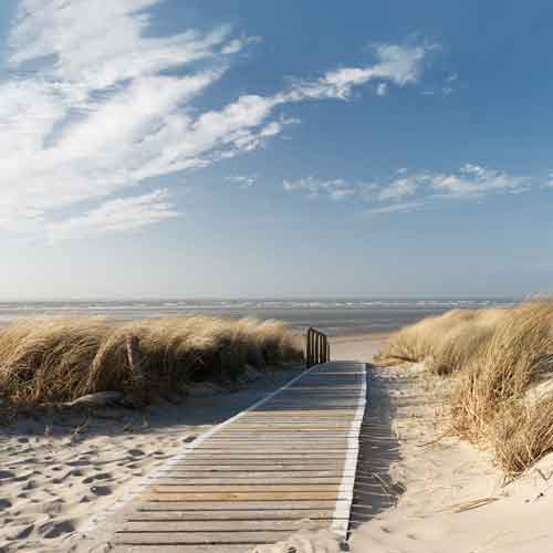 Dünensteg Nordsee 02