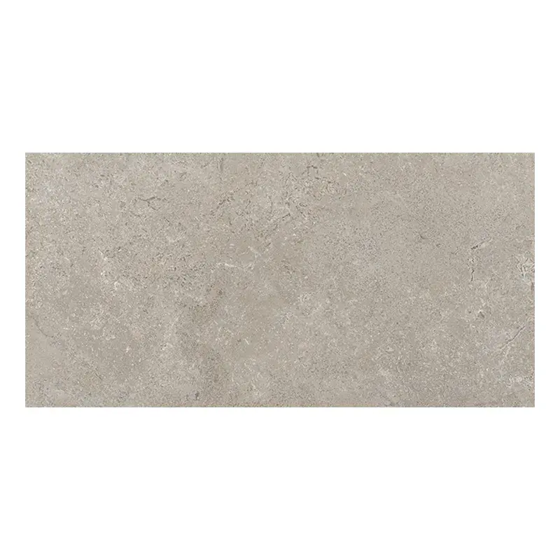 Steinoptik Fliese Cercom Stone Vision Ash R11 30 x 60 cm