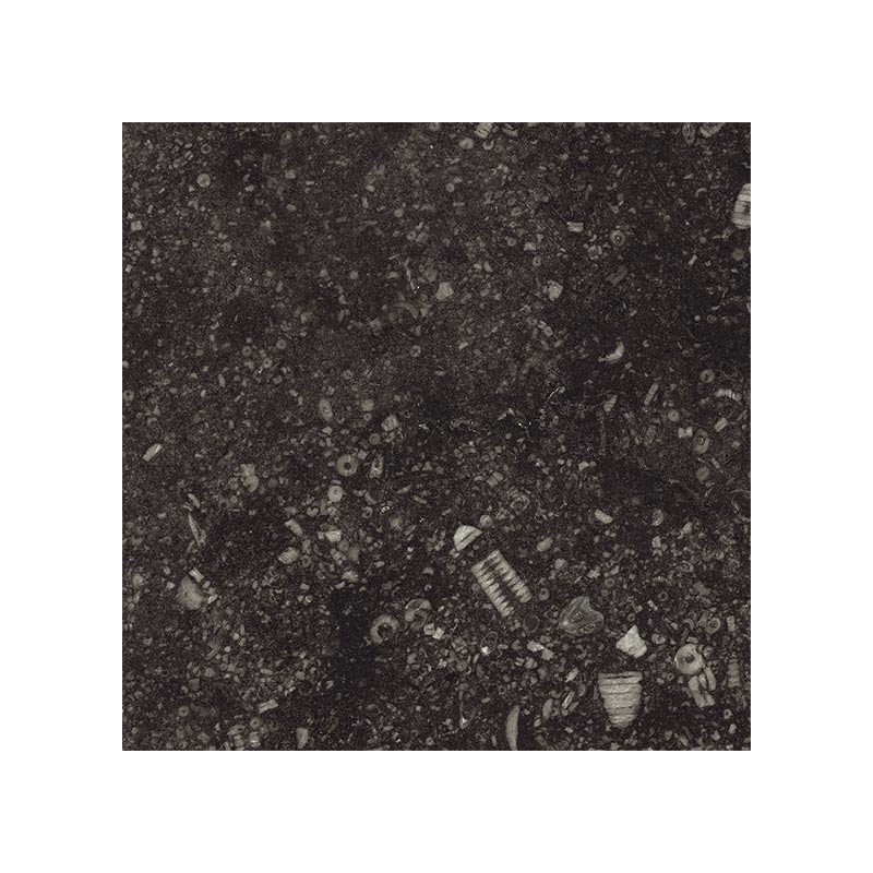 edimaxastor Concert Black 13 x 13 cm Musterfliese