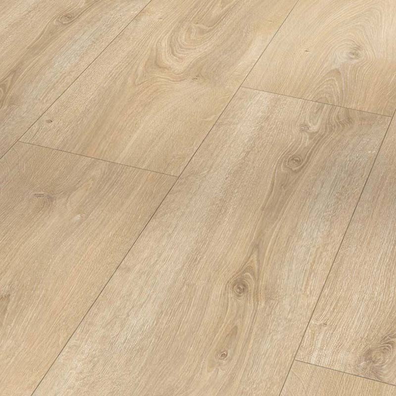 Parador Basic 600 Laminat Eiche Nova hell gekälkt