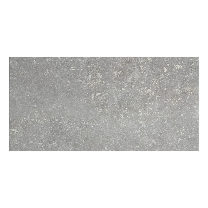 CIR Di Pietra Ardenne Grigio 20 x 40 cm Musterfliese