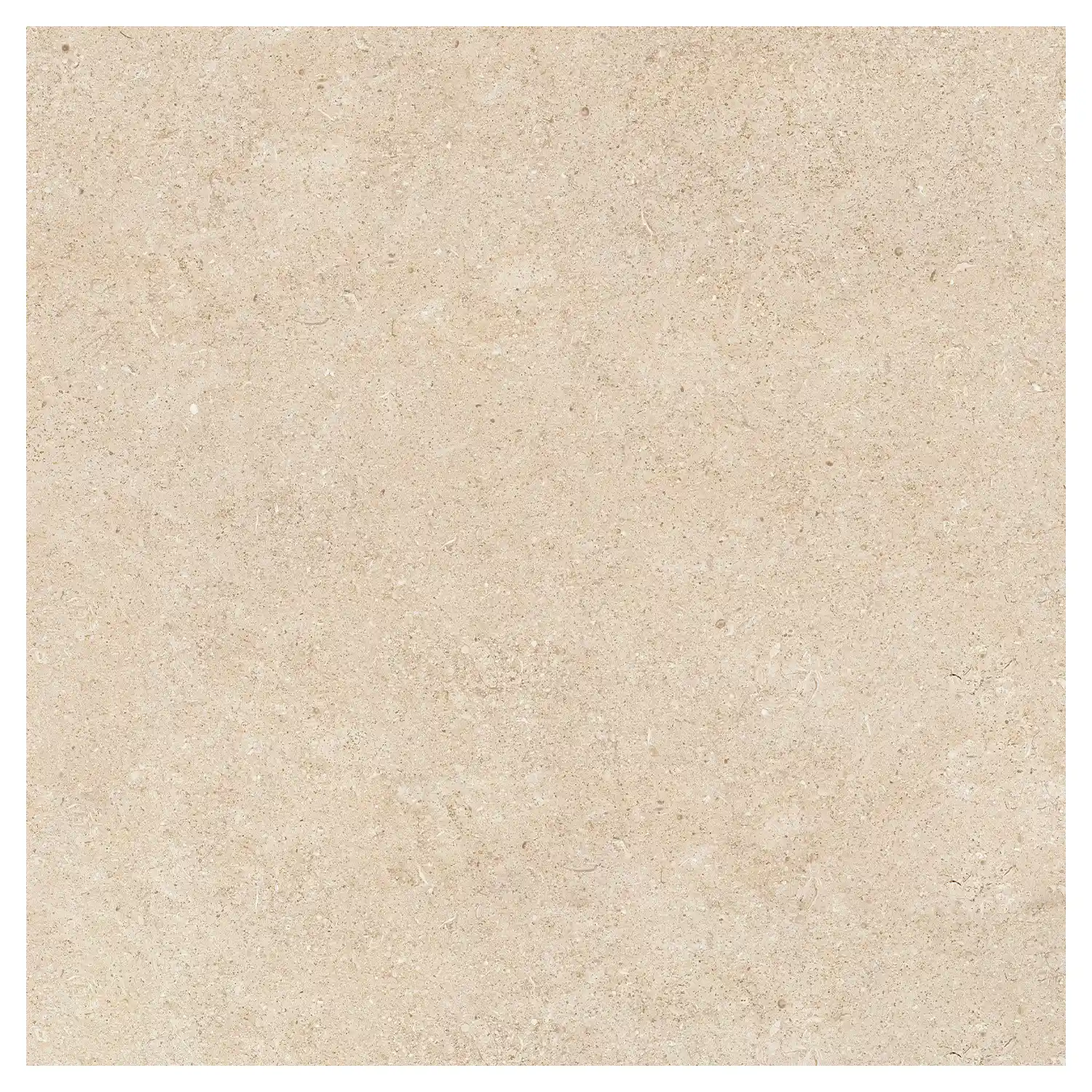 Steinoptik Fliese Sedimenti Beige Selected 120 x 120 cm