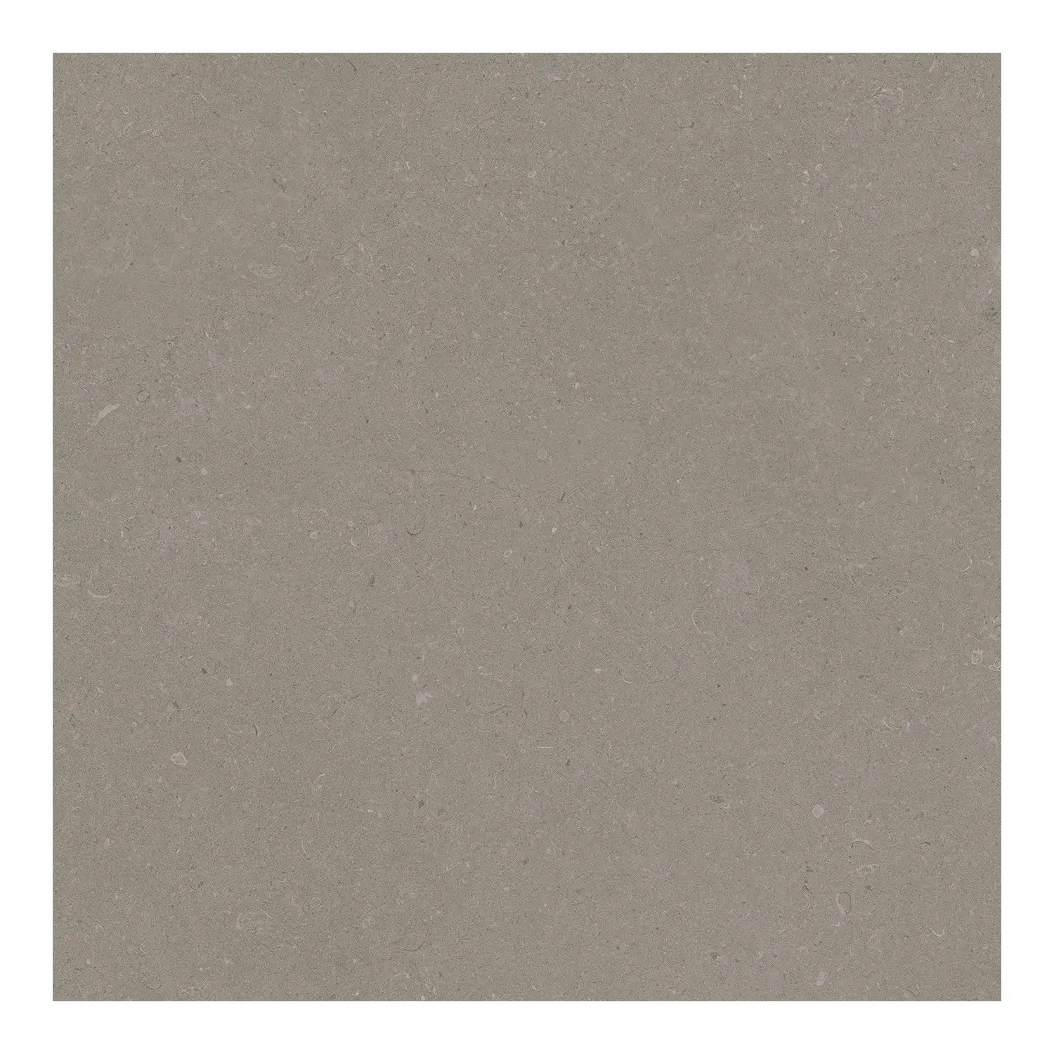 Steinoptik Bodenfliese Rift Greige 60 x 60 cm