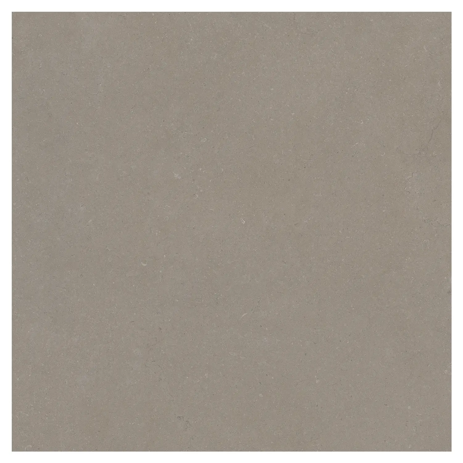 Steinoptik Bodenfliese Rift Greige 120 x 120 cm