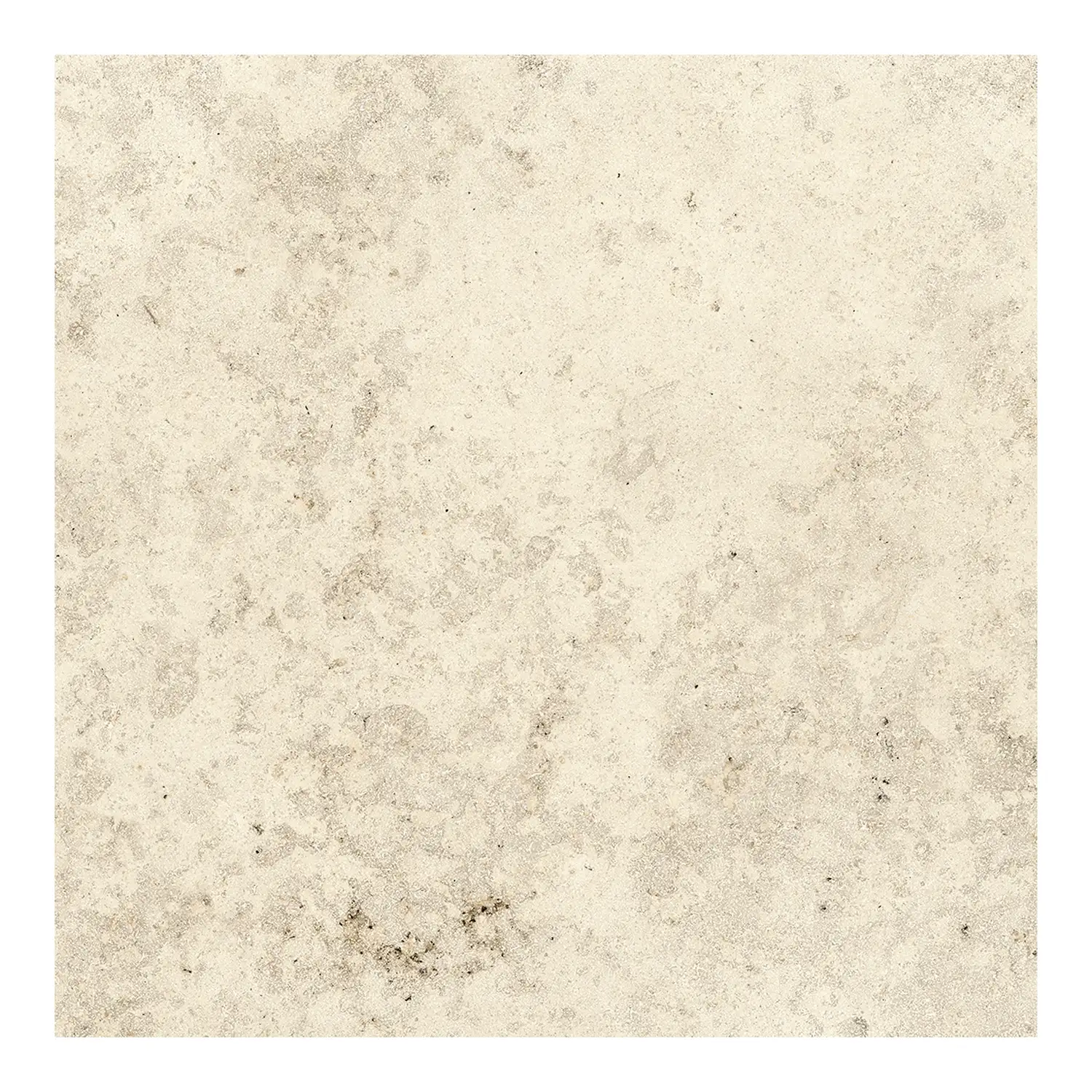 Steinoptik Fliese Jurassic Fossil Crema 3D 60 x 60 cm