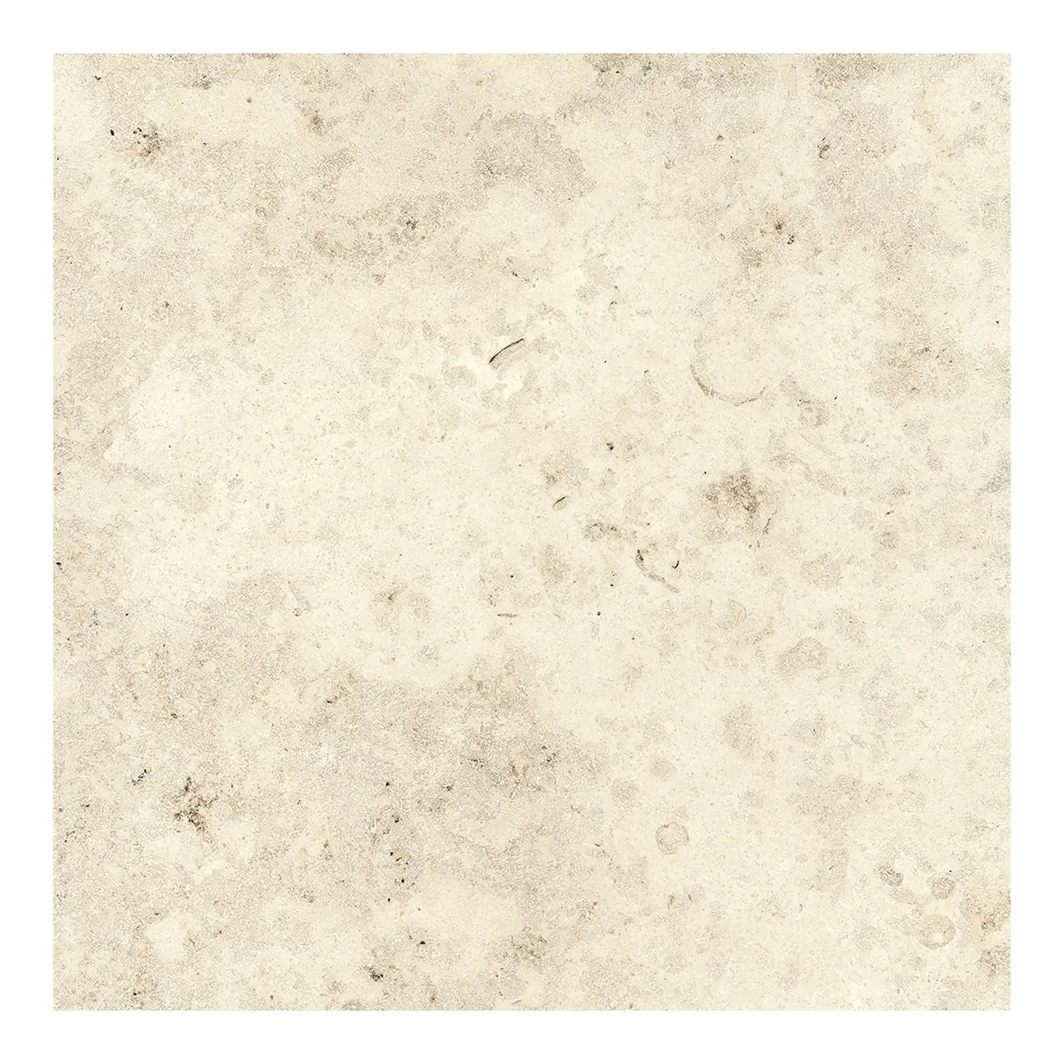 Steinoptik Fliese Jurassic Fossil Crema 3D 60 x 60 cm