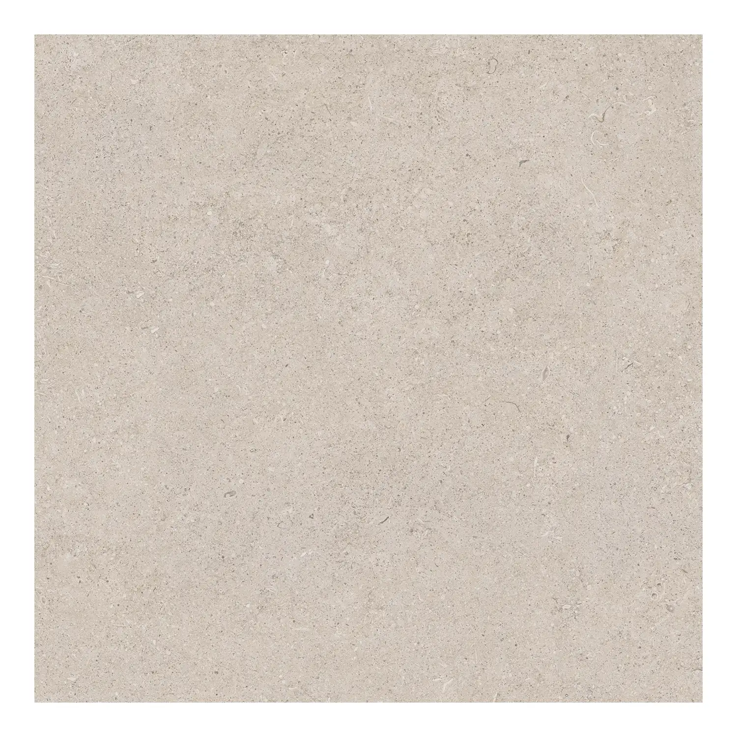 Steinoptik Fliese Sedimenti Grey Selected 60 x 60 cm