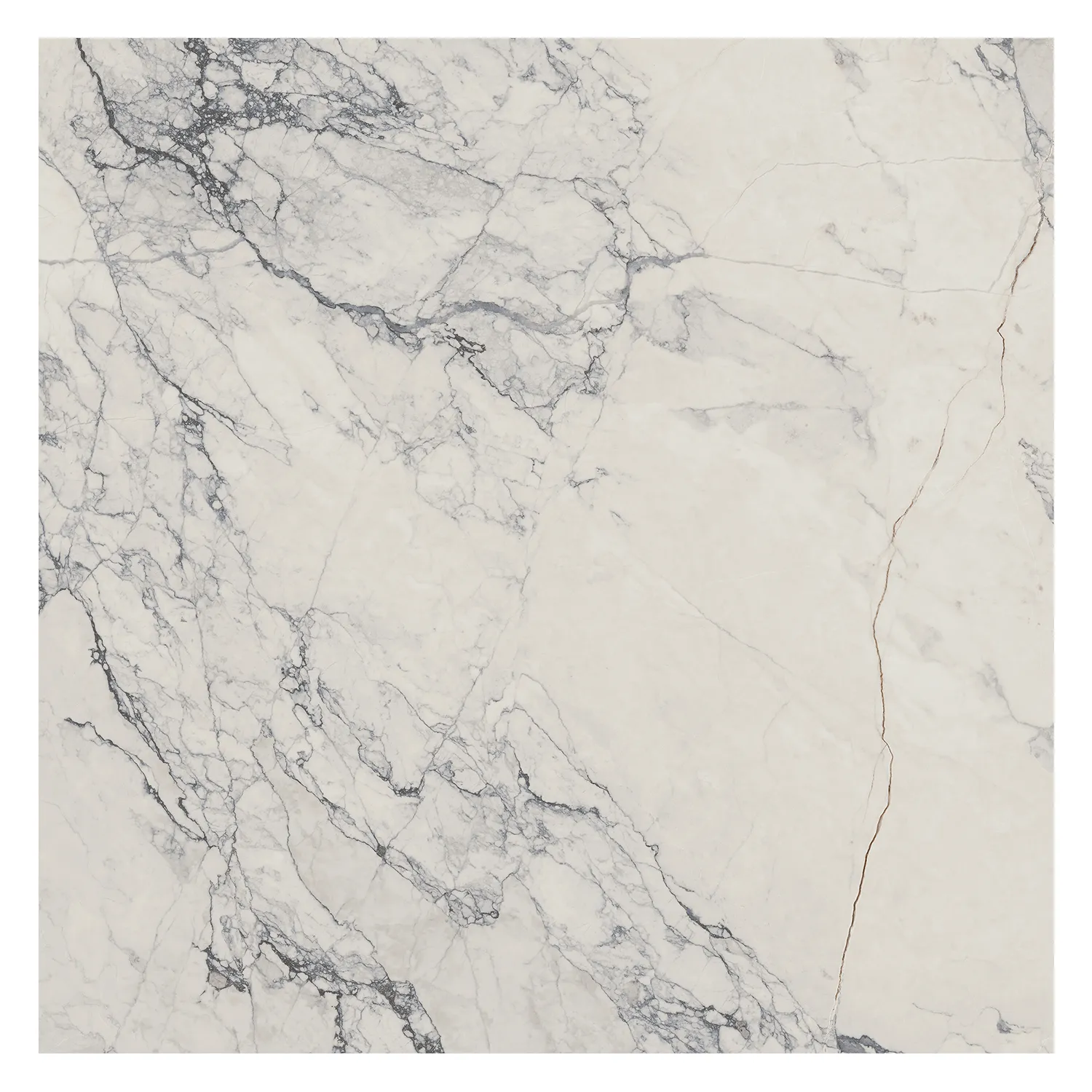 Marmoroptik Fliese Bianco Camouflage Silk 60 x 60 cm