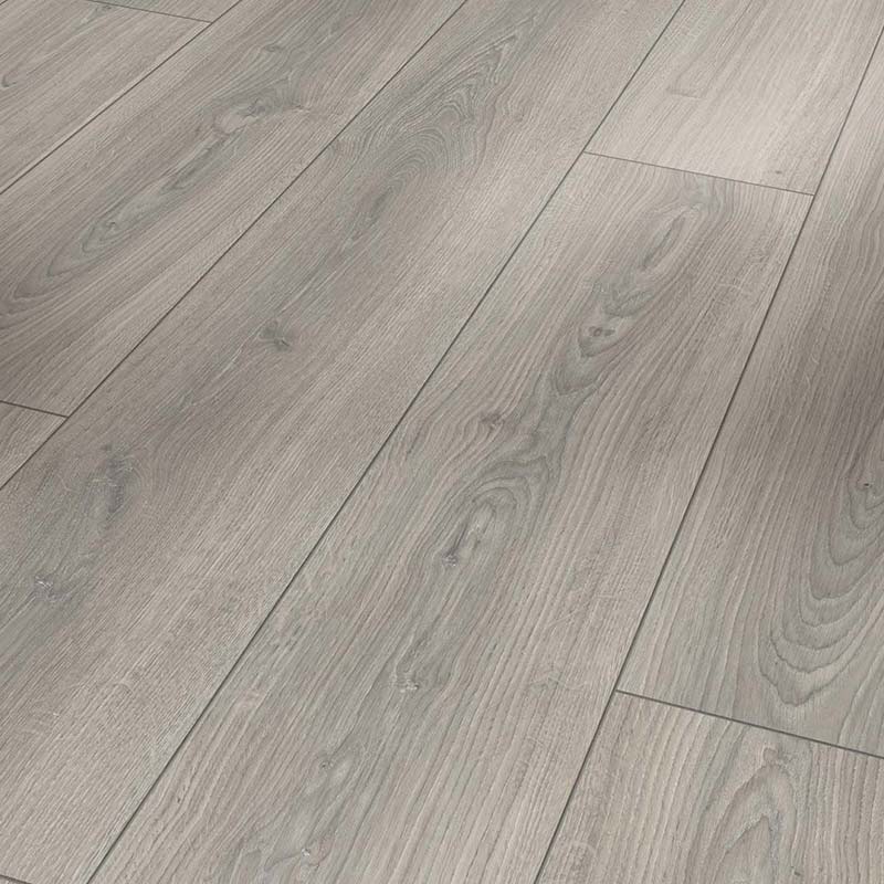 Parador Trendtime 6 Laminat Eiche Studioline lichtgrau
