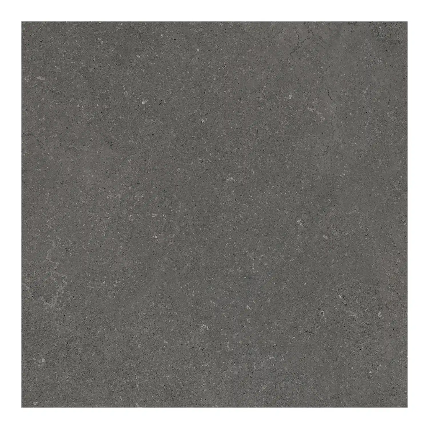 Steinoptik Bodenfliese Rift Anthracite 60 x 60 cm