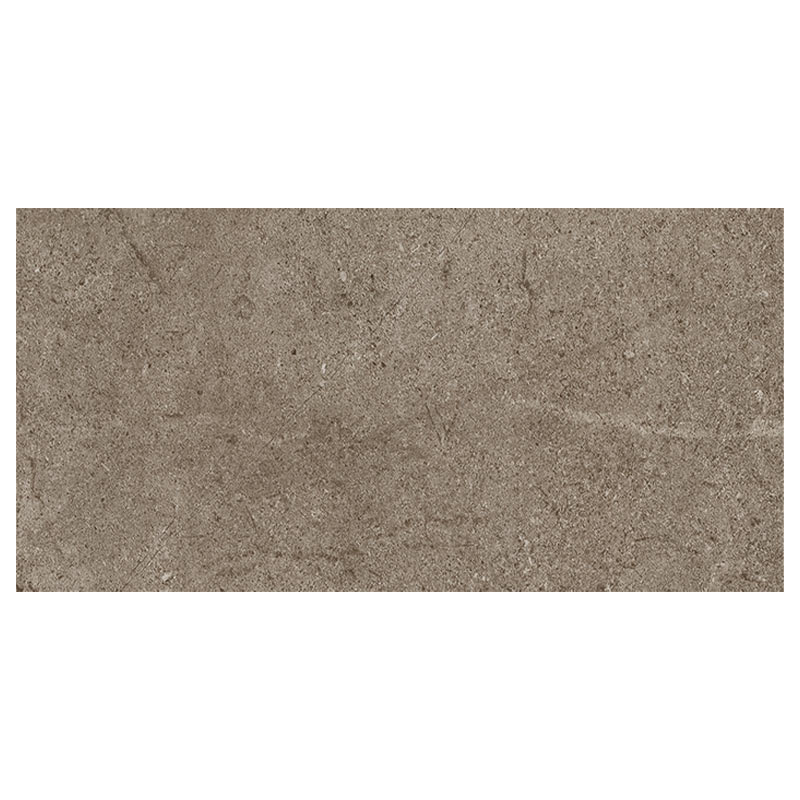 Cercom Archistone Archi Taupe 60 x 120 cm Bodenfliese