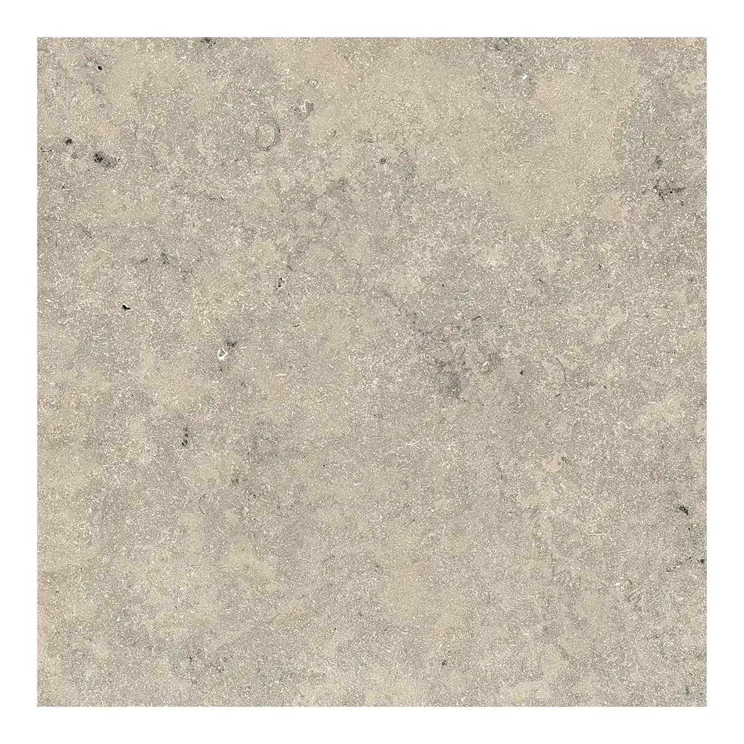 Steinoptik Fliese Jurassic Bavaria Grigio 3D 60 x 60 cm