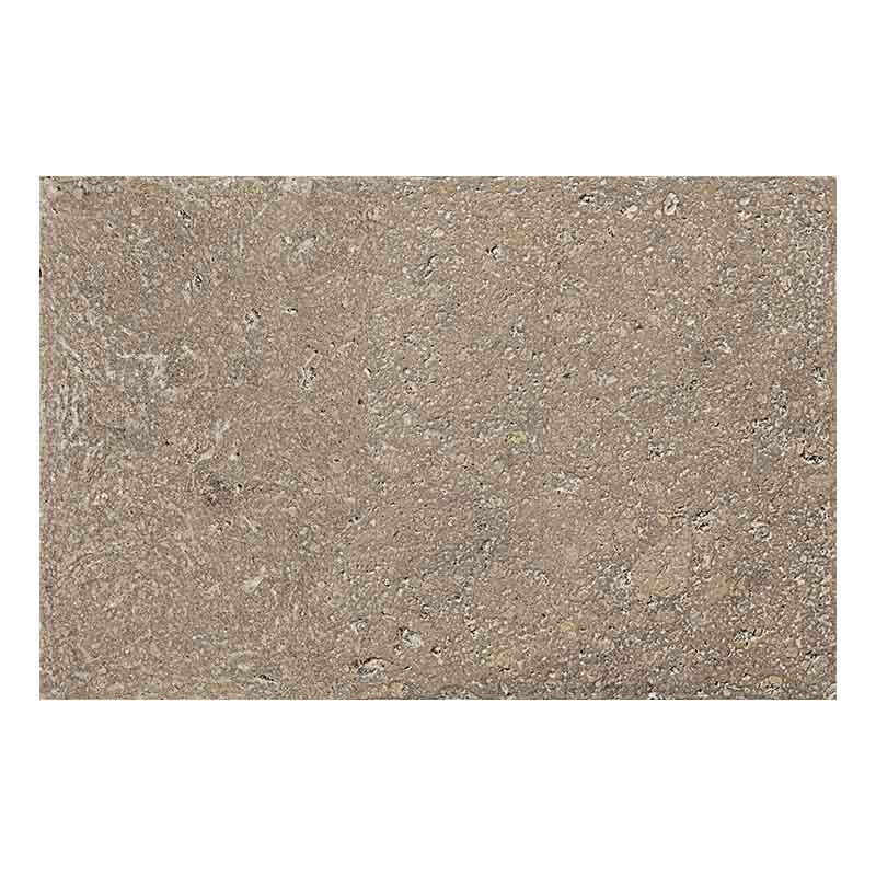 Cotto Bodenfliese Pomposa Mineral R11 40 x 60,8 cm