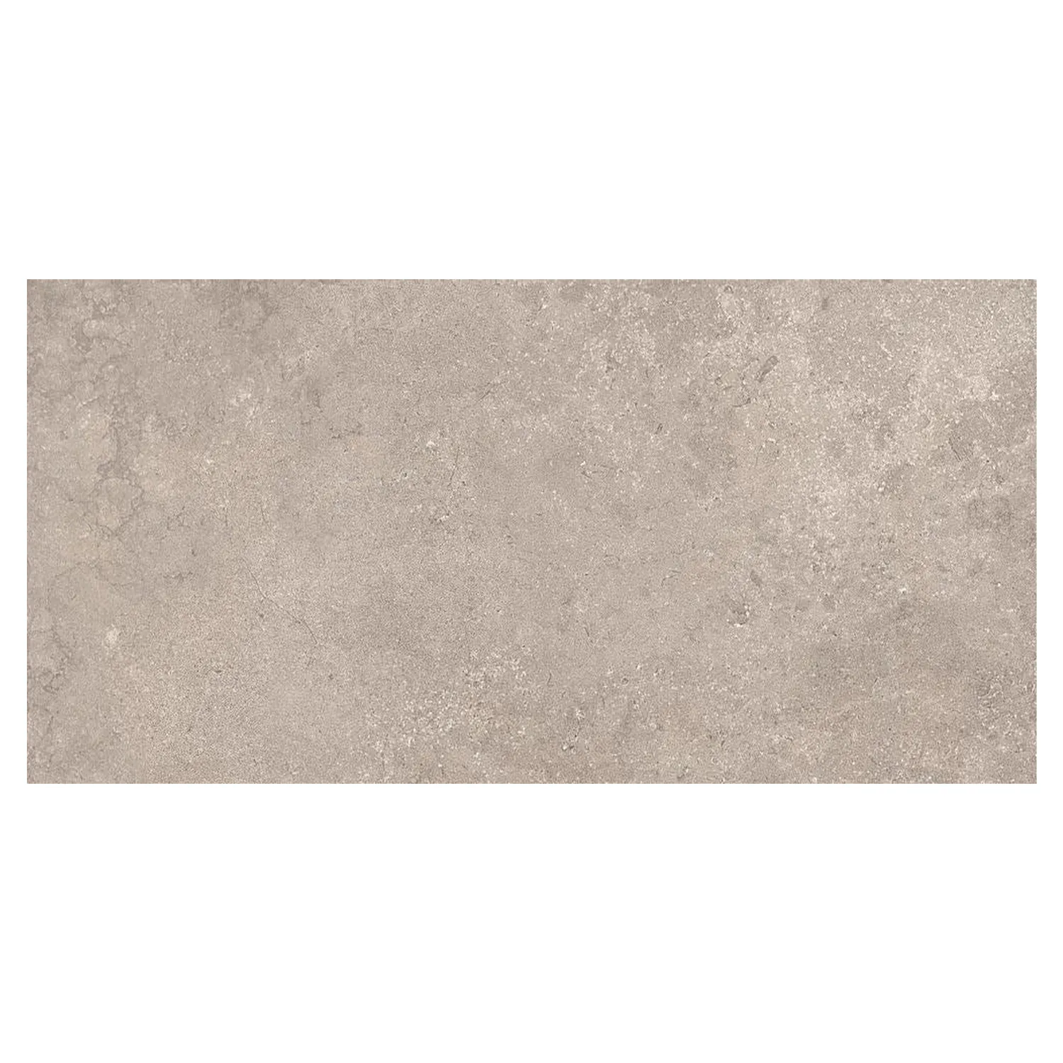 Steinoptik Fliese Portland Rock Taupe 60 x 120 cm