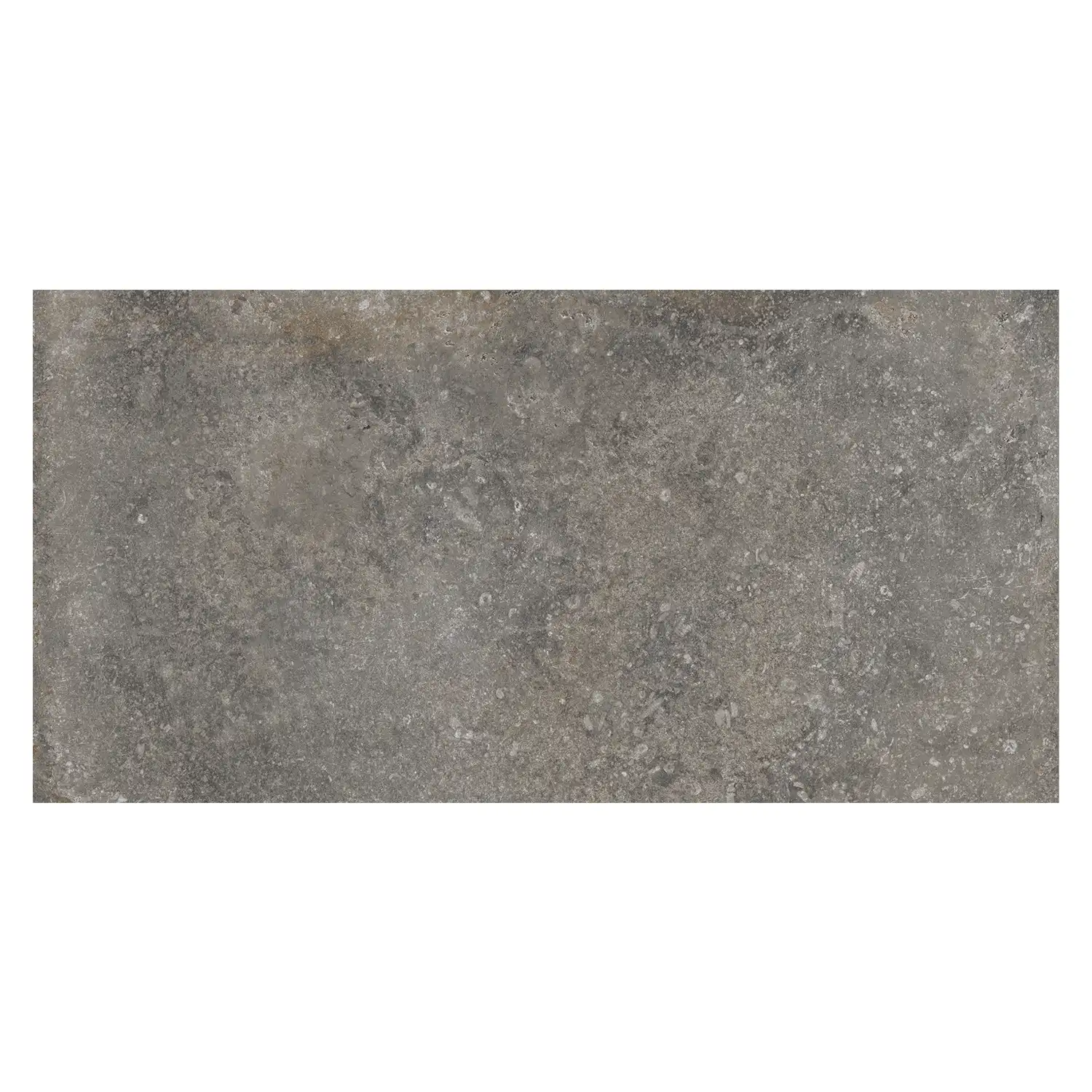 Rustikale Steinoptik Bodenfliese i-stone Grey 40 x 80 cm