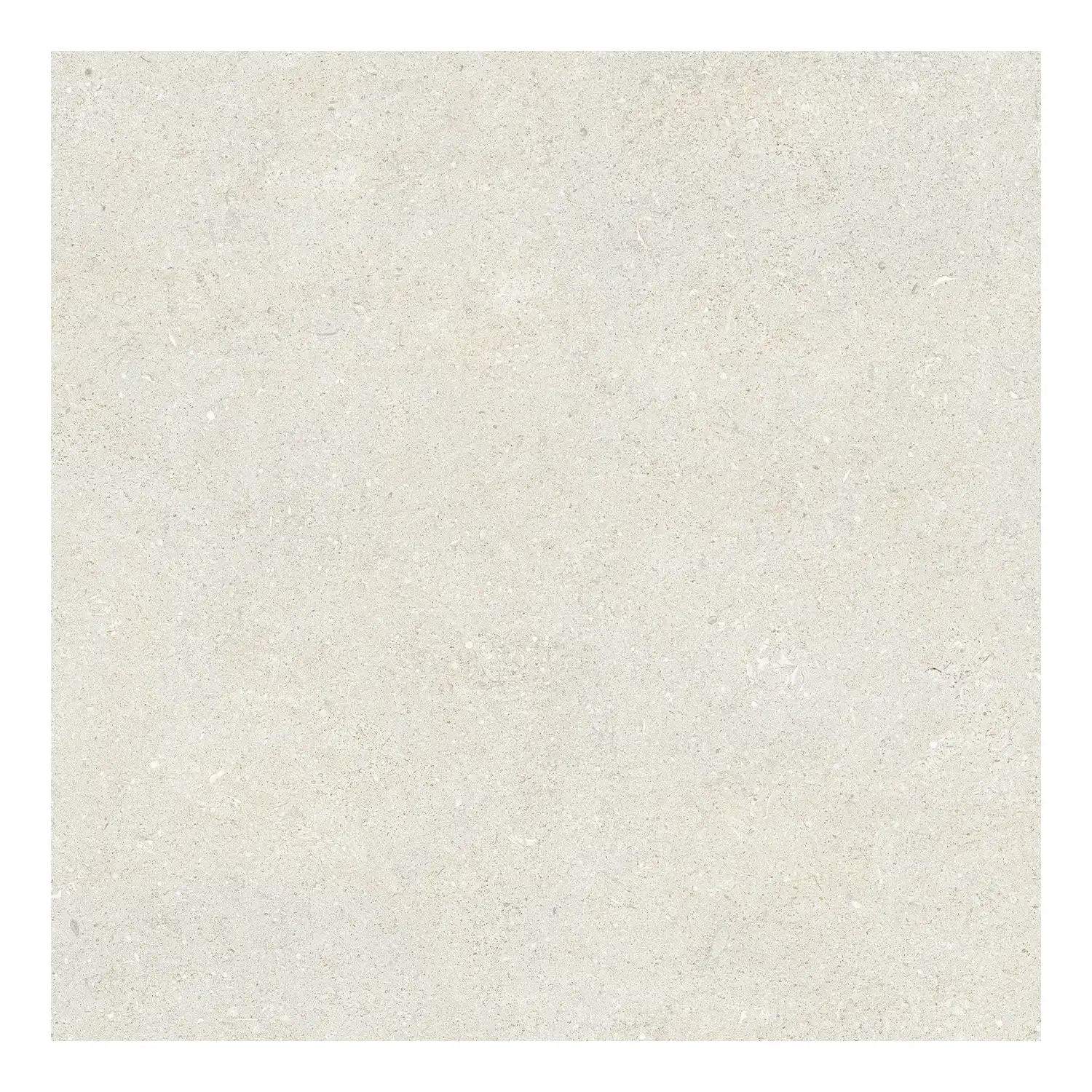 Steinoptik Fliese Sedimenti White Selected 60 x 60 cm