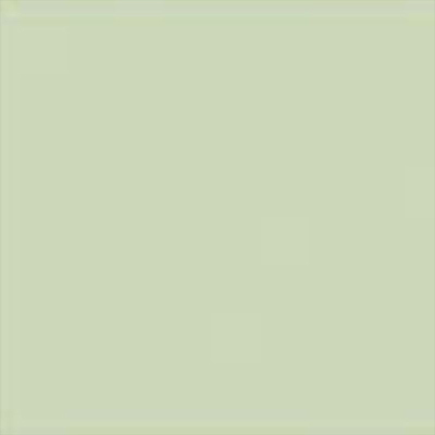 KK55 Mint
