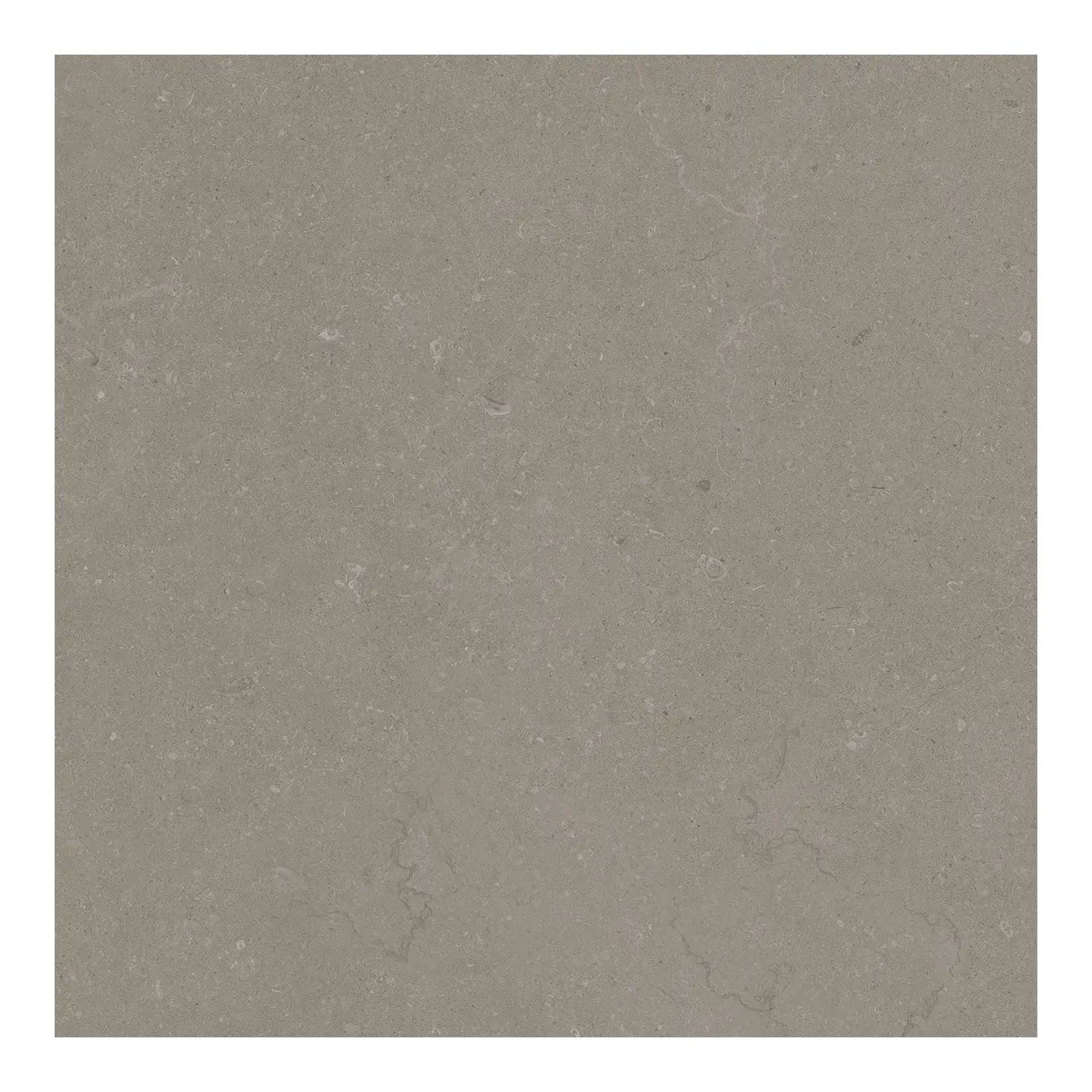 Steinoptik Bodenfliese Rift Greige 60 x 60 cm