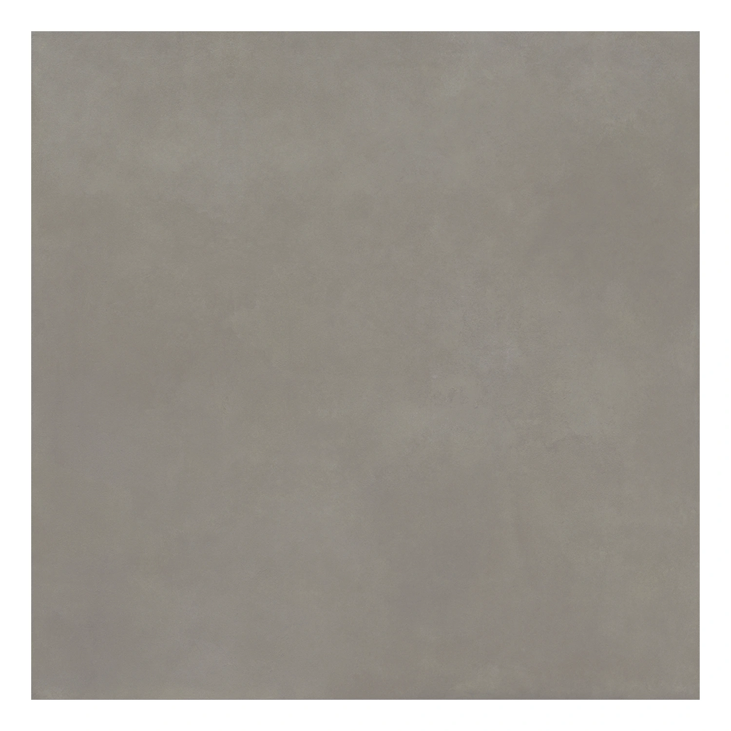 Zementoptik Fliese Infinita Cenere 60 x 60 cm
