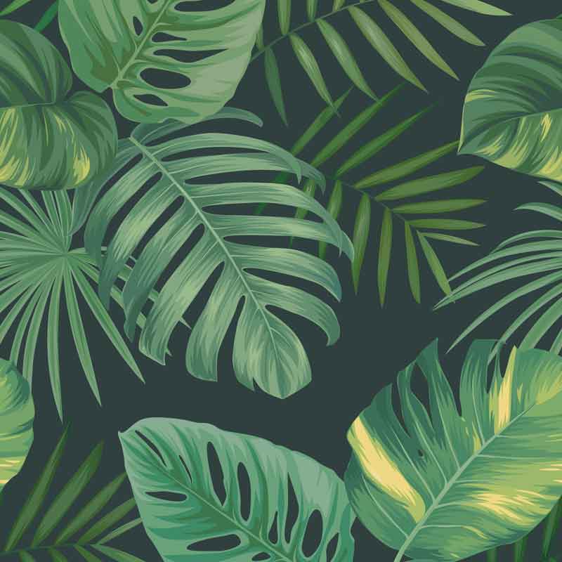 hsk-renodeco-tropical-65