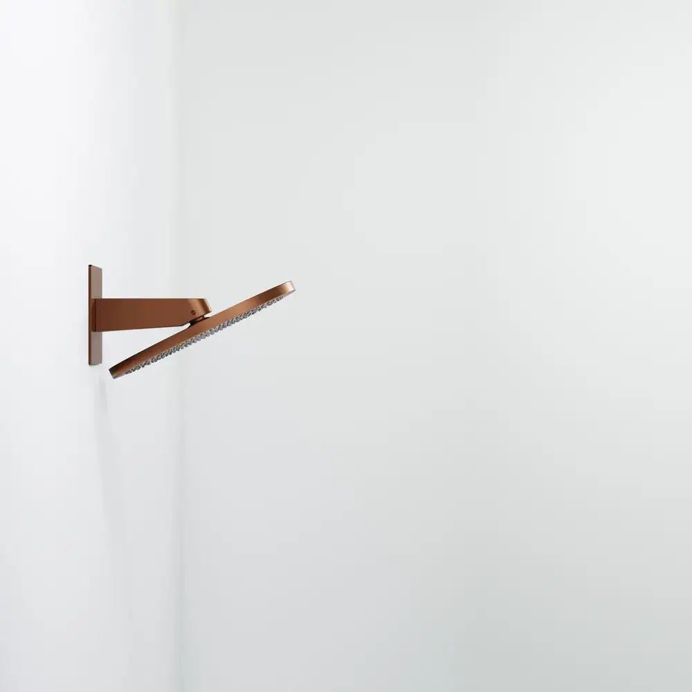 Steinberg Serie 390 Wall rain Design Kopfbrause