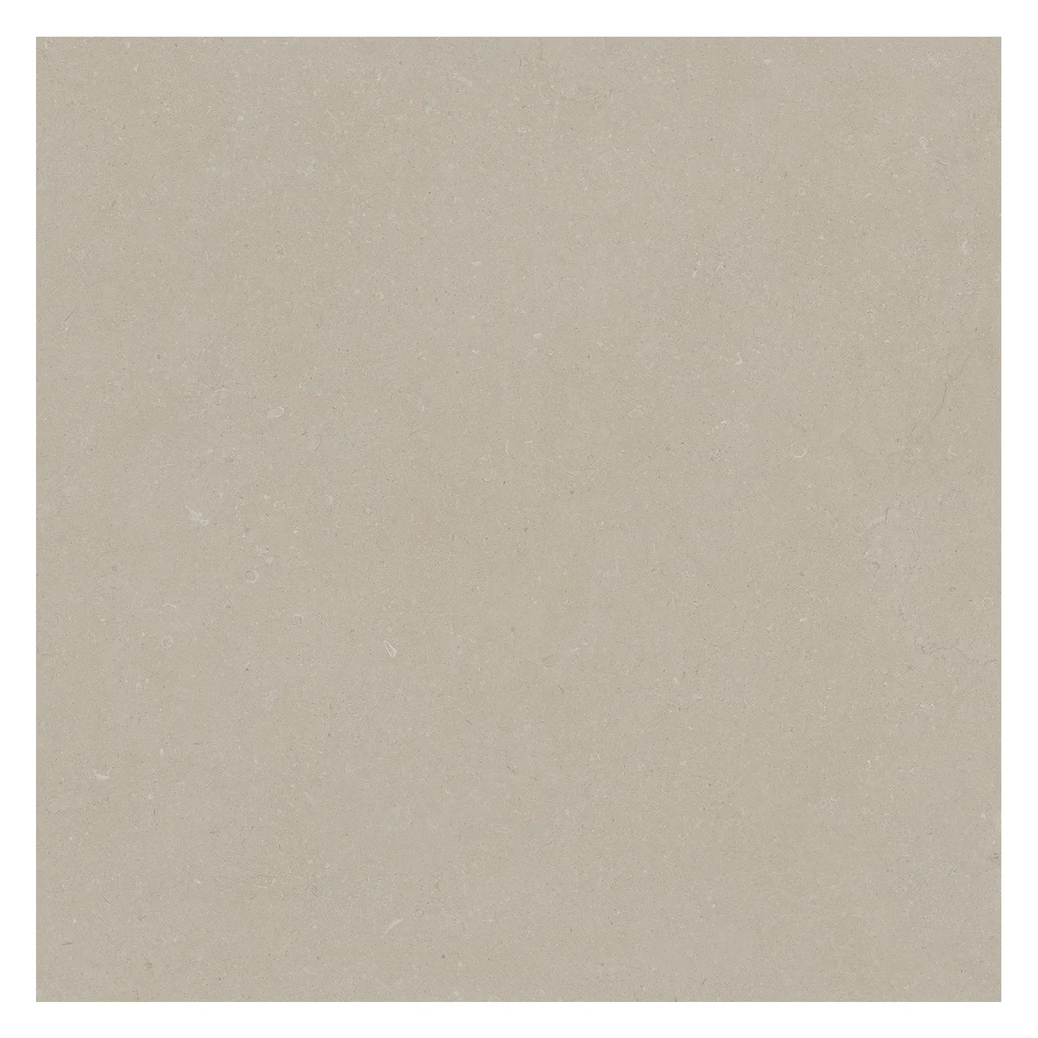 Steinoptik Bodenfliese Rift Bone 90 x 90 cm