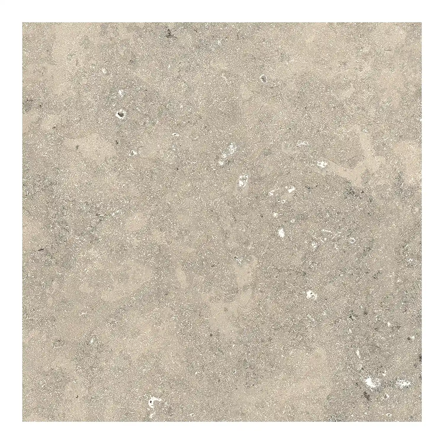 Steinoptik Fliese Jurassic Bavaria Grigio 3D 60 x 60 cm