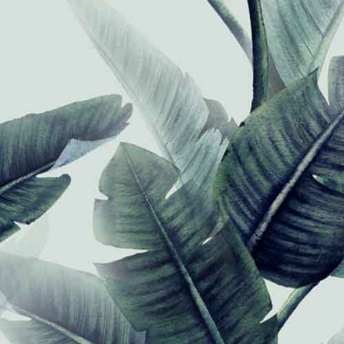 Tropenblätter Mint 63