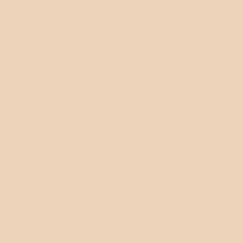 HSK RenoDeco Duschrückwand Crema Beige