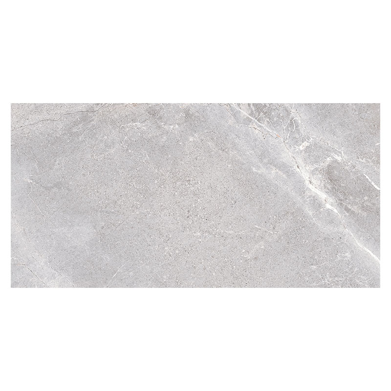 Steinoptik Bodenfliese Miscela Ash 60 x 120 cm