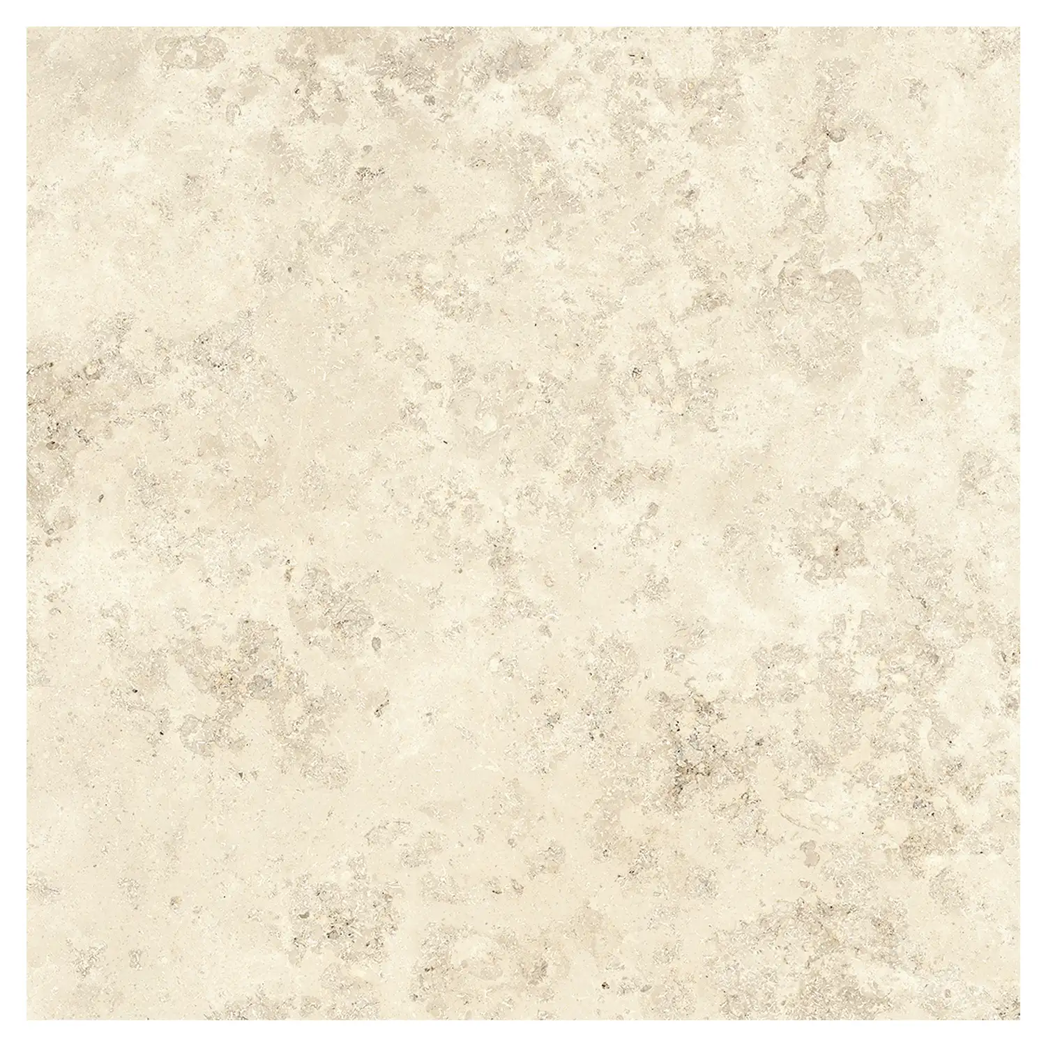 Steinoptik Fliese Jurassic Fossil Crema 3D 120 x 120 cm