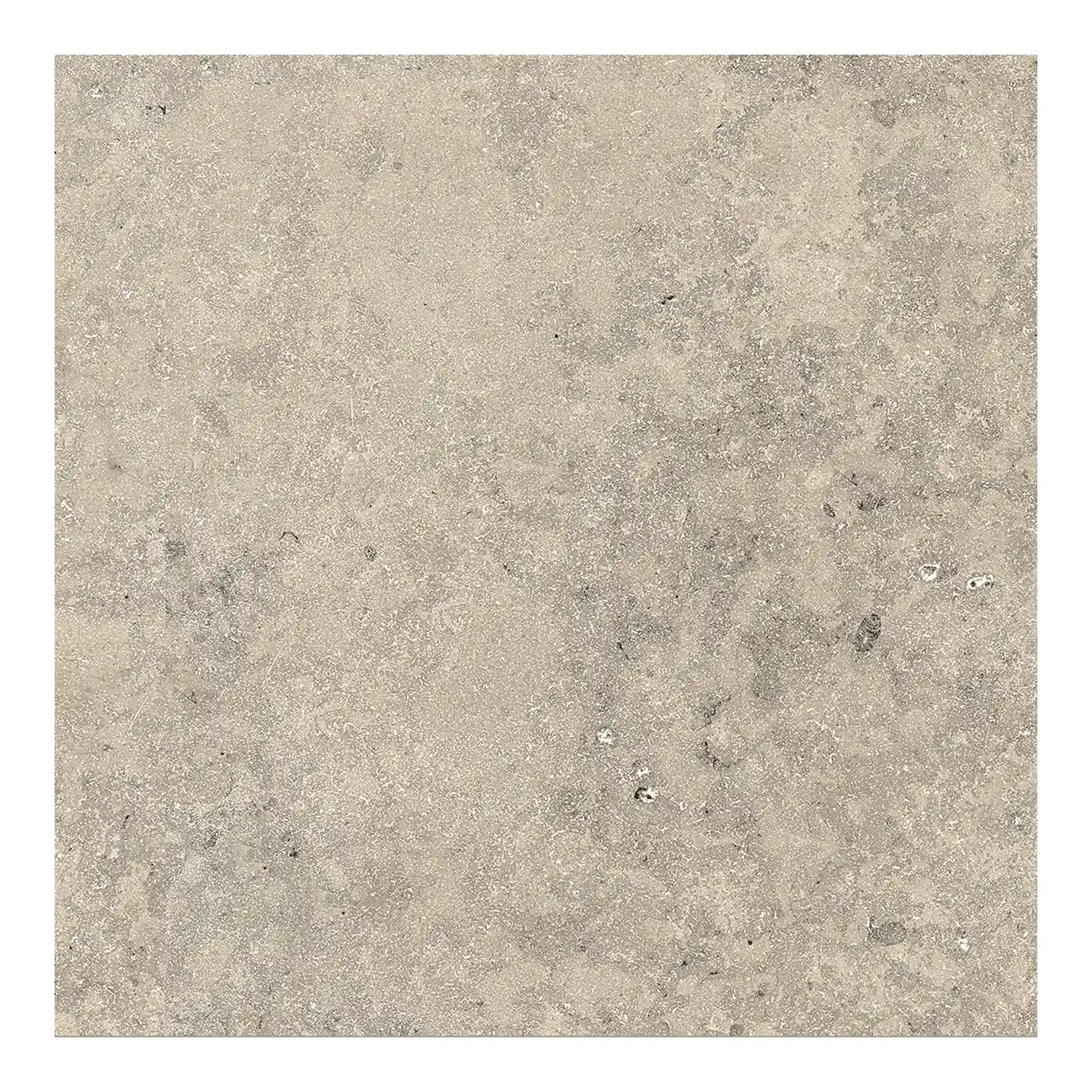 Steinoptik Fliese Jurassic Bavaria Grigio 3D 60 x 60 cm