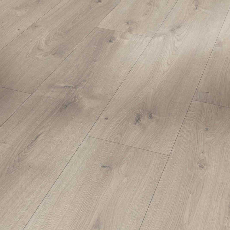 Parador Basic 600 Laminat Eiche Mistral grau