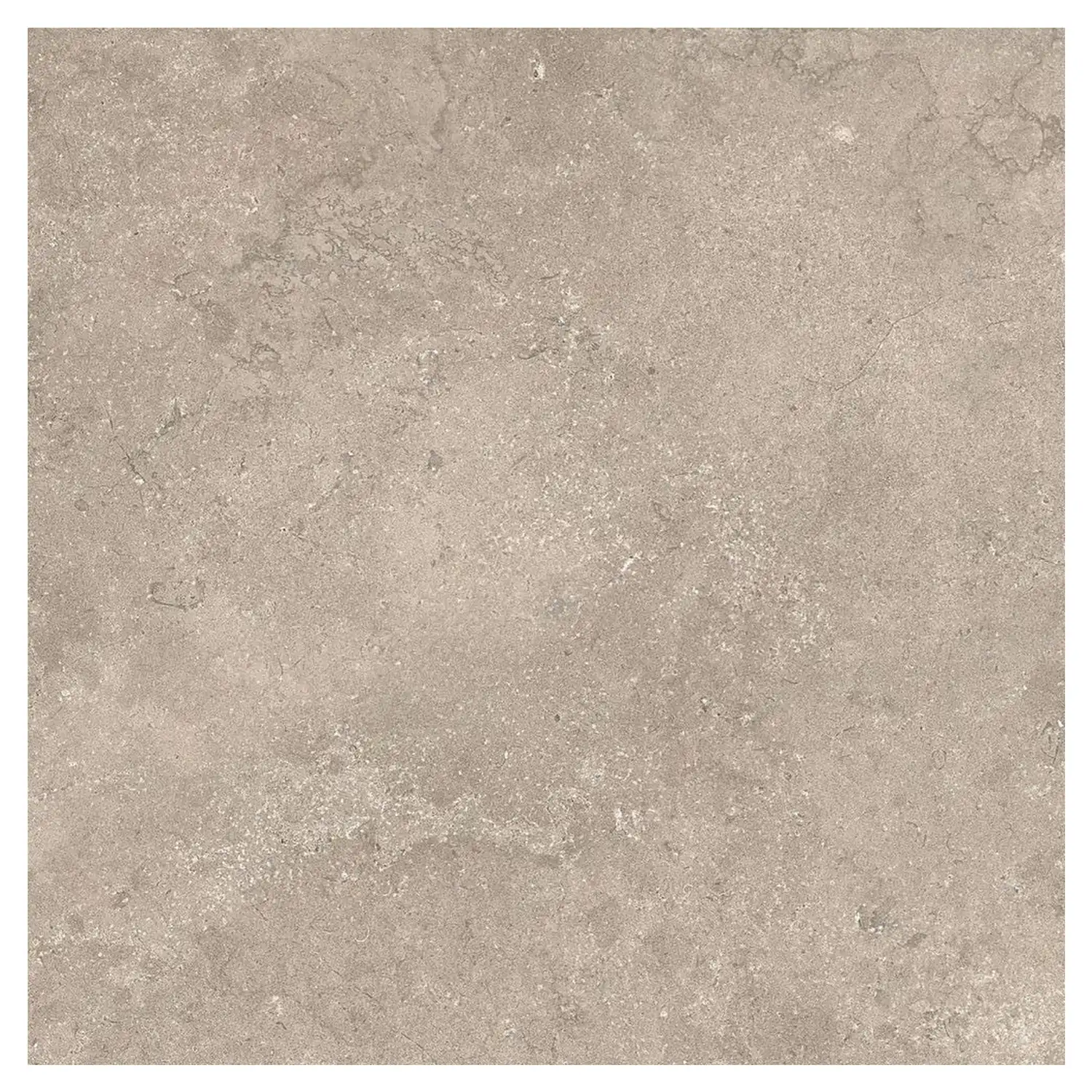 Steinoptik Terrassenplatte Portland Rock Taupe 100 x 100 cm