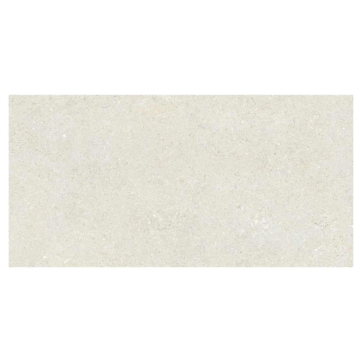 Steinoptik Fliese Sedimenti White Selected 60 x 120 cm