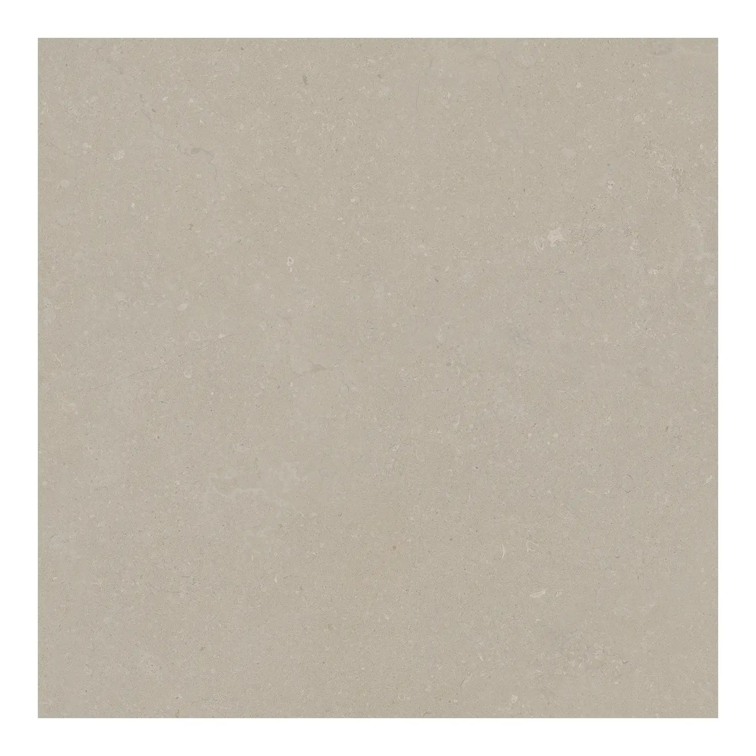 Steinoptik Bodenfliese Rift Bone 60 x 60 cm