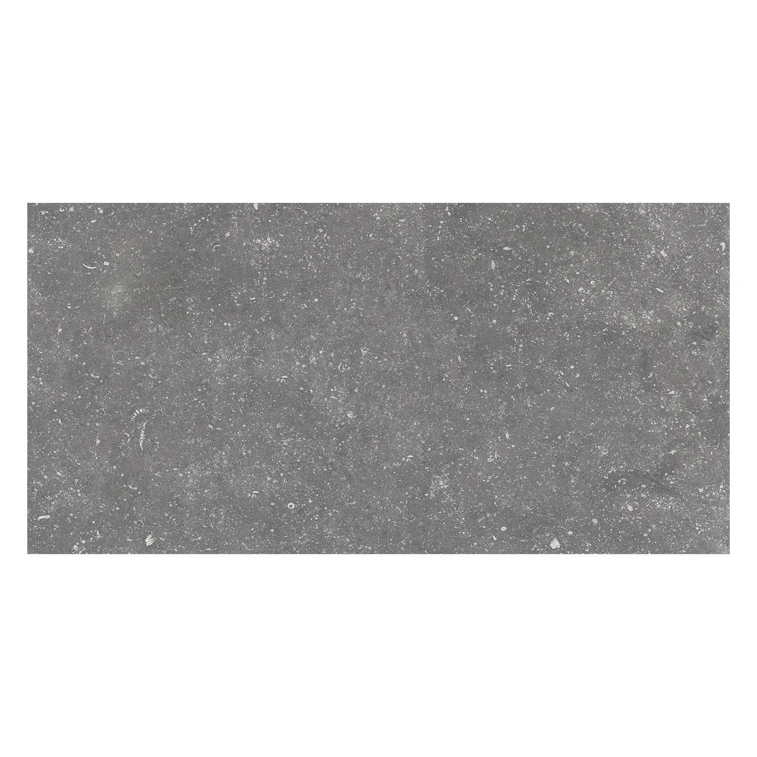 Rustikale Steinoptik Fliese Stone Pit Sky 40 x 80 cm