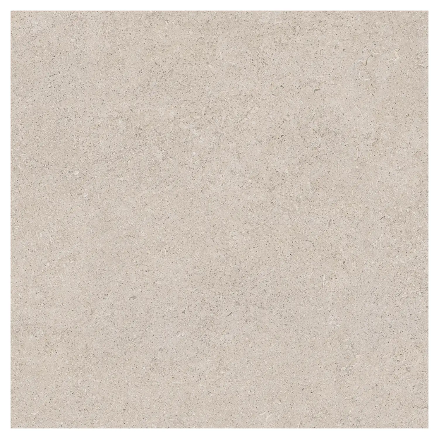 Steinoptik Fliese Sedimenti Grey Selected 120 x 120 cm